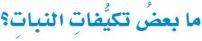تكيفات النيات